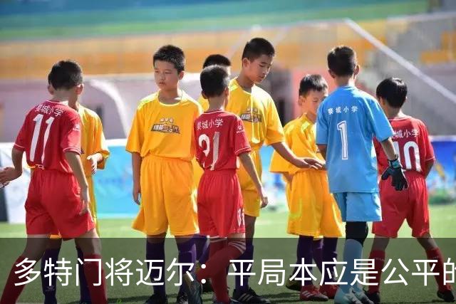 多特门将迈尔：平局本应是公平的结果；日本的球迷非常热情